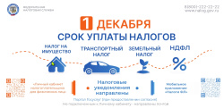 1 декабря - срок уплаты имущественных налогов