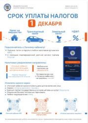 Внимание! Cрок уплаты имущественных налогов – не позднее 1 декабря 2025 г.